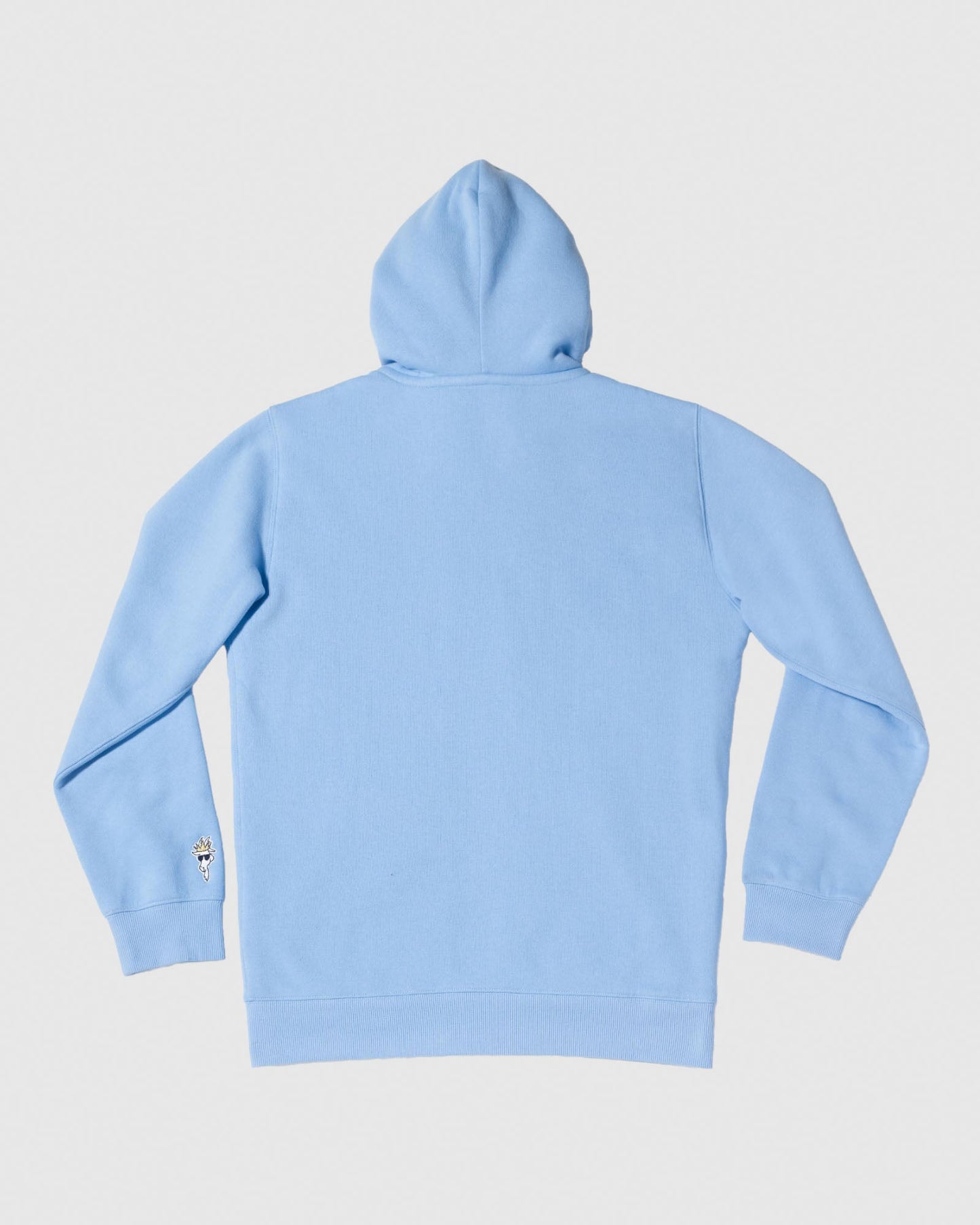 Back of Carolina Blue sherpa-lined full-zip sweatshirt#color_carolina-blue