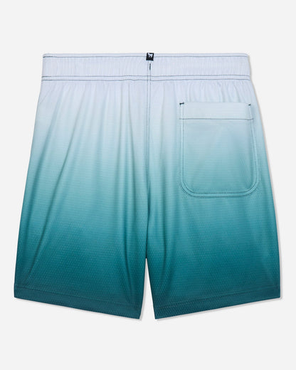 Back of sage fade mesh shorts#color_sage