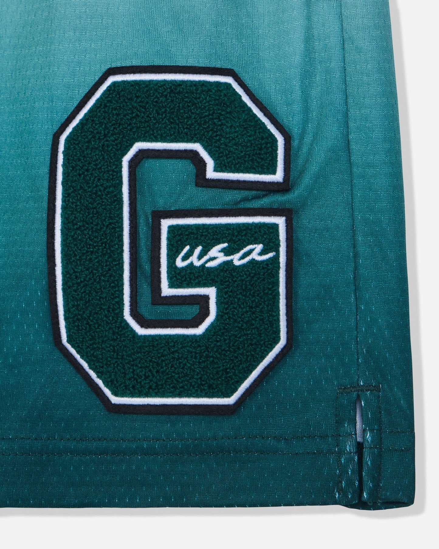 Close-up of 'G'-patch on sage fade mesh shorts#color_sage