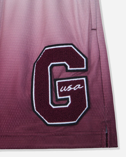 Close-up of 'G'-patch on maroon fade mesh shorts#color_windsor-wine
