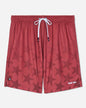 Front of red mesh shorts with a star pattern#color_tomato
