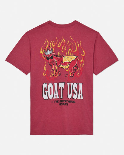 Back of cardinal t-shirt with dragon goat graphic
