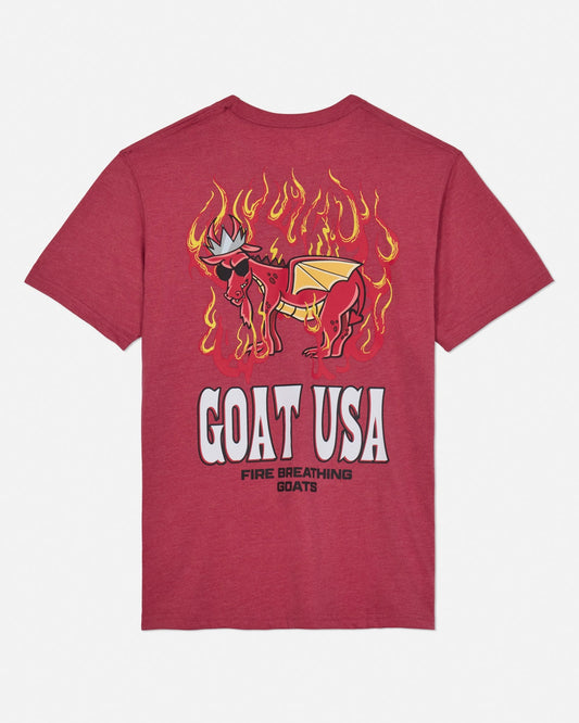 Back of cardinal t-shirt with dragon goat graphic