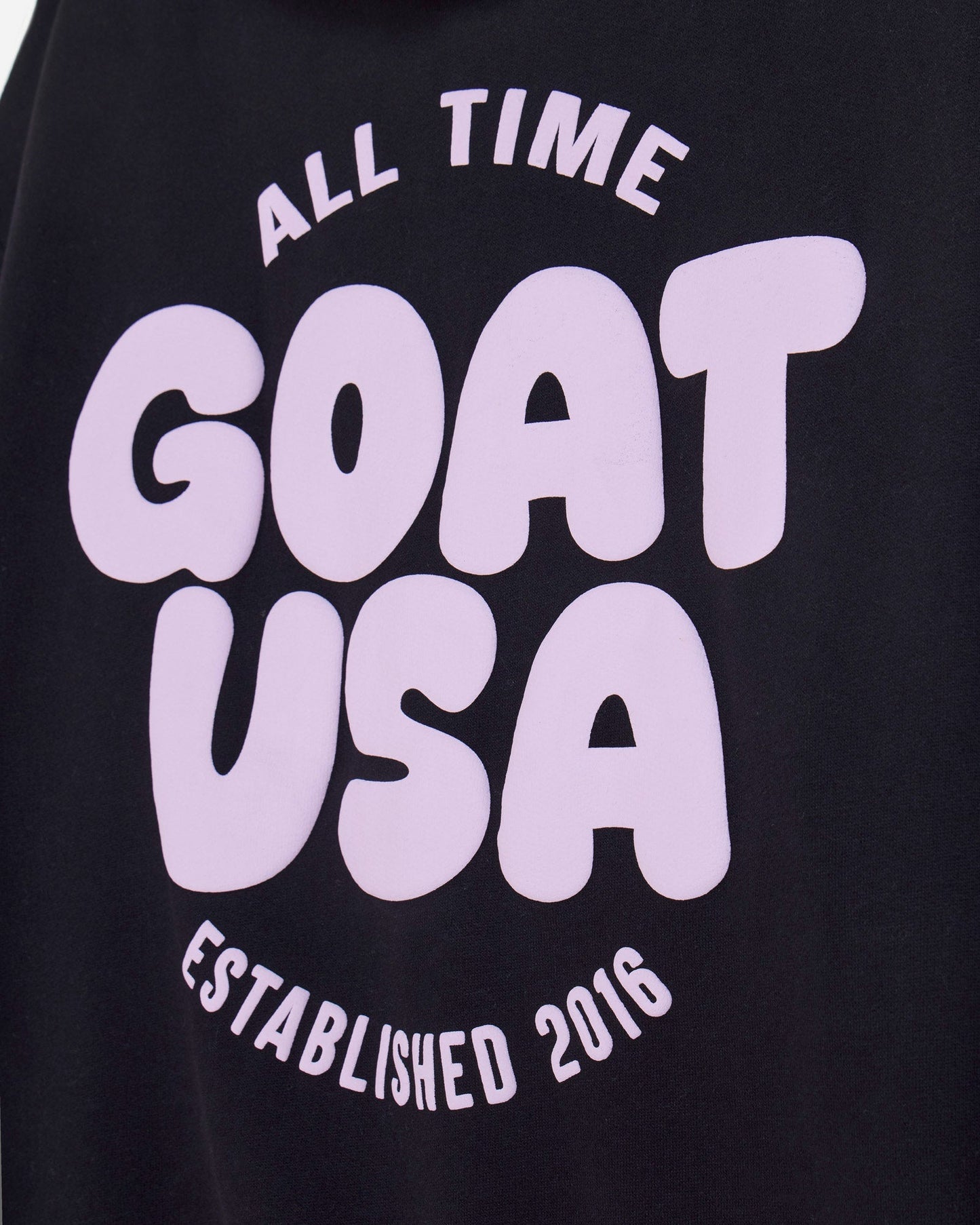 Close-up of back of black hoodie with 'ALL TIME GOAT USA ESTABLISHED 2016' text#color_black