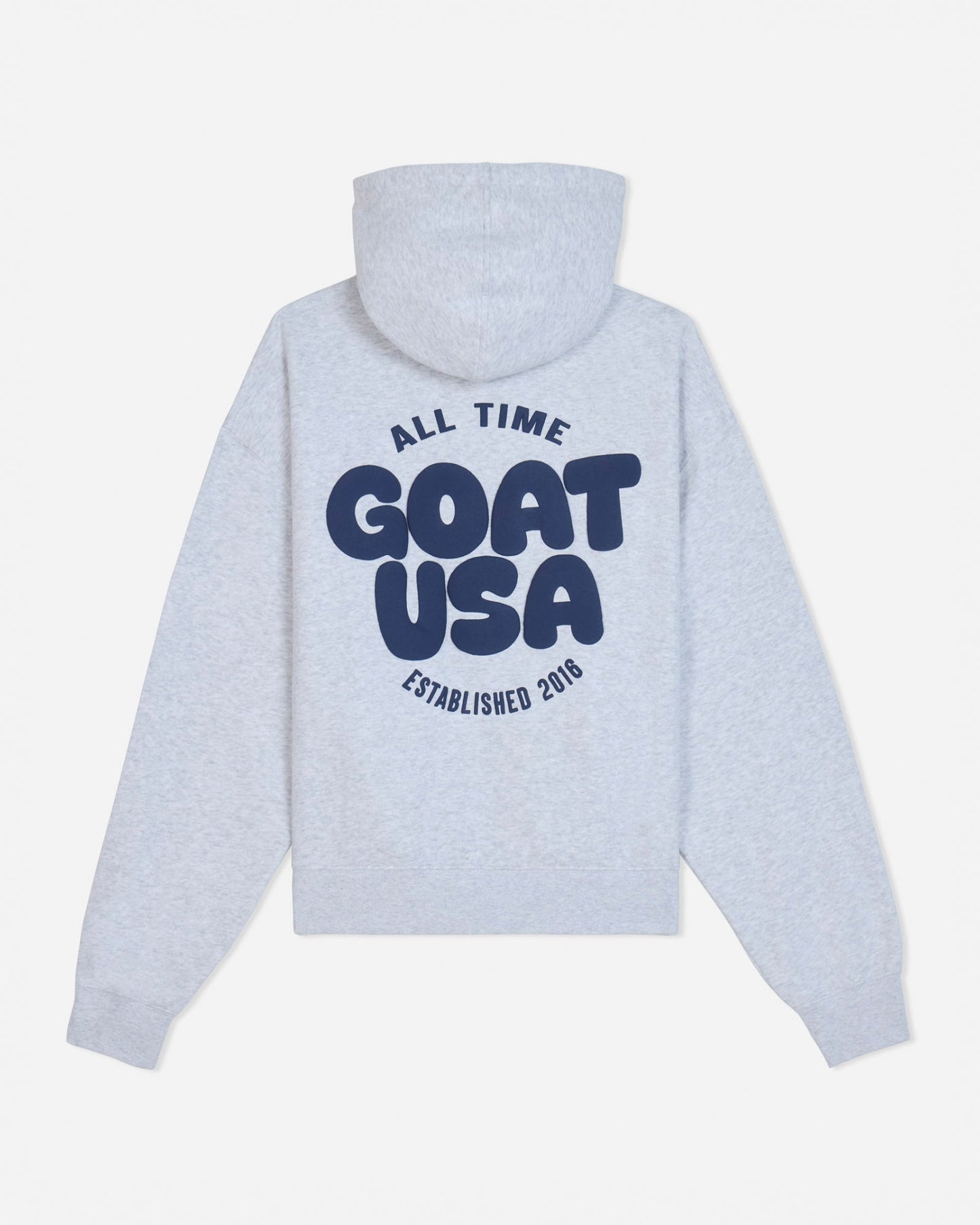 Back of gray hoodie with 'ALL TIME GOAT USA ESTABLISHED 2016' text#color_pale-gray-heather