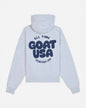 Back of gray hoodie with 'ALL TIME GOAT USA ESTABLISHED 2016' text#color_pale-gray-heather