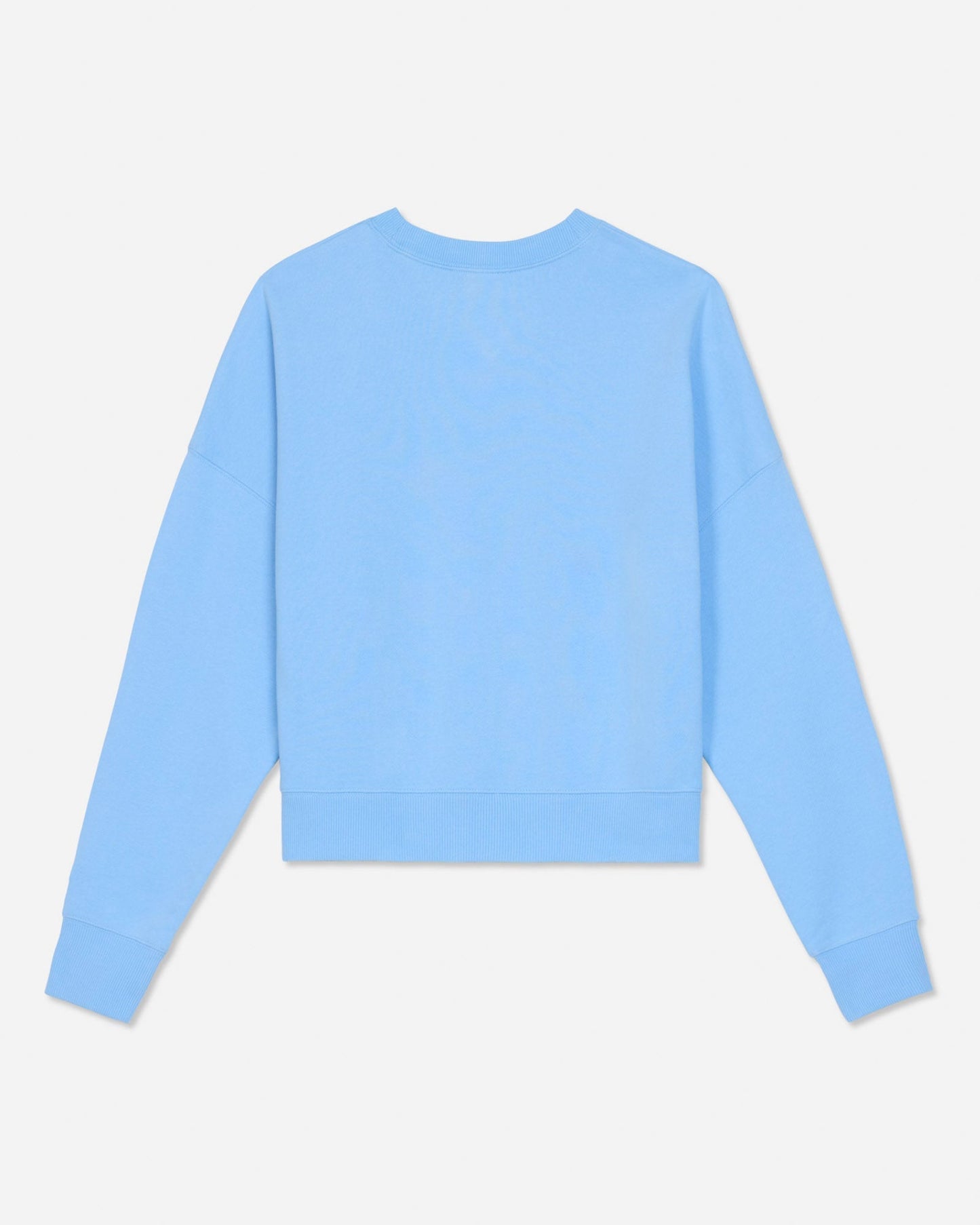 Back of oversized carolina blue crewneck#color_carolina-blue