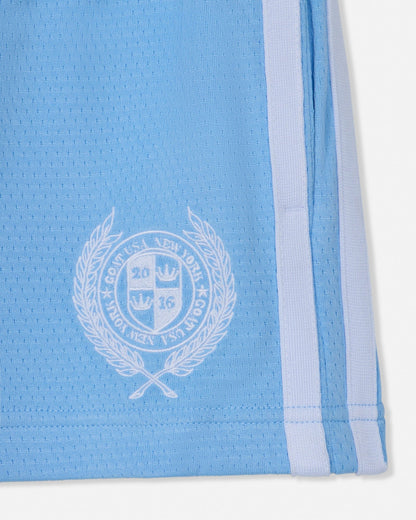 Light blue athletic shorts with a white emblem and stripe on a white background#color_carolina-blue