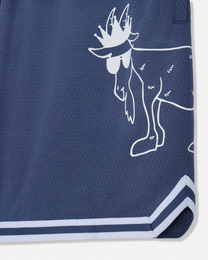 Close-up of logo on navy mesh shorts#color_navy