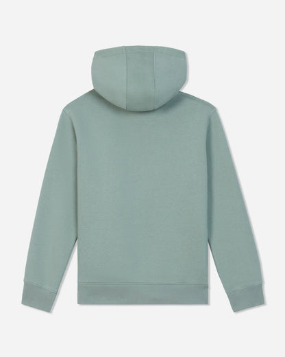 A sage green hooded sweatshirt shown from the back, featuring a solid color with ribbed cuffs and hem, set against a light gray background.