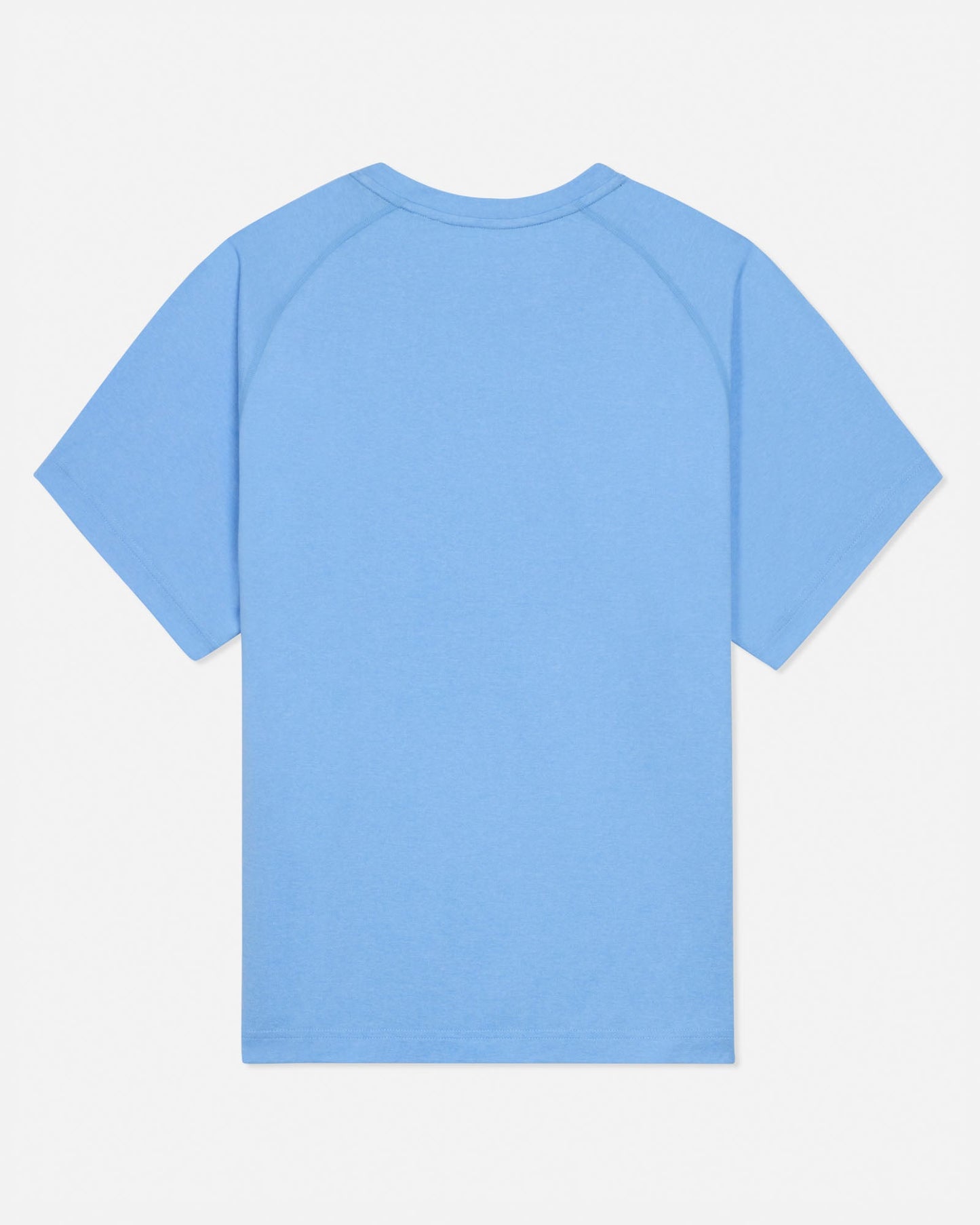 Back of carolina blue GOAT USA athletic t-shirt #color_carolina-blue