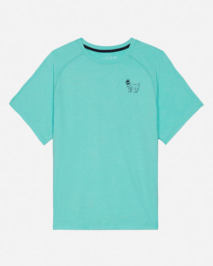 Turquoise t-shirt with a small graphic on a white background#color_teal-blue