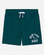 Front of sage french terry shorts#color_sage