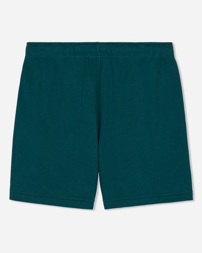 Back of sage french terry shorts#color_sage