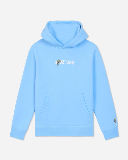 A light blue pullover hoodie with a white 'GOAT USA' graphic and bee logo on the chest, and a small matching bee logo on the left sleeve, shown against a light gray background.