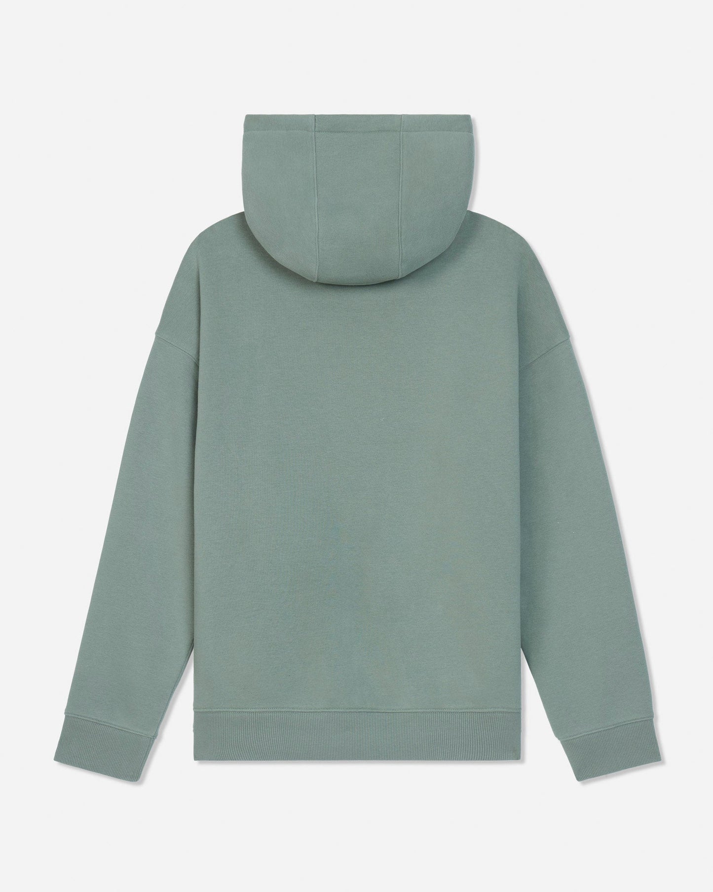 A sage green hooded sweatshirt shown from the back, featuring a relaxed fit, ribbed cuffs, and a ribbed hem, photographed against a light gray background.#color_steeped-sage