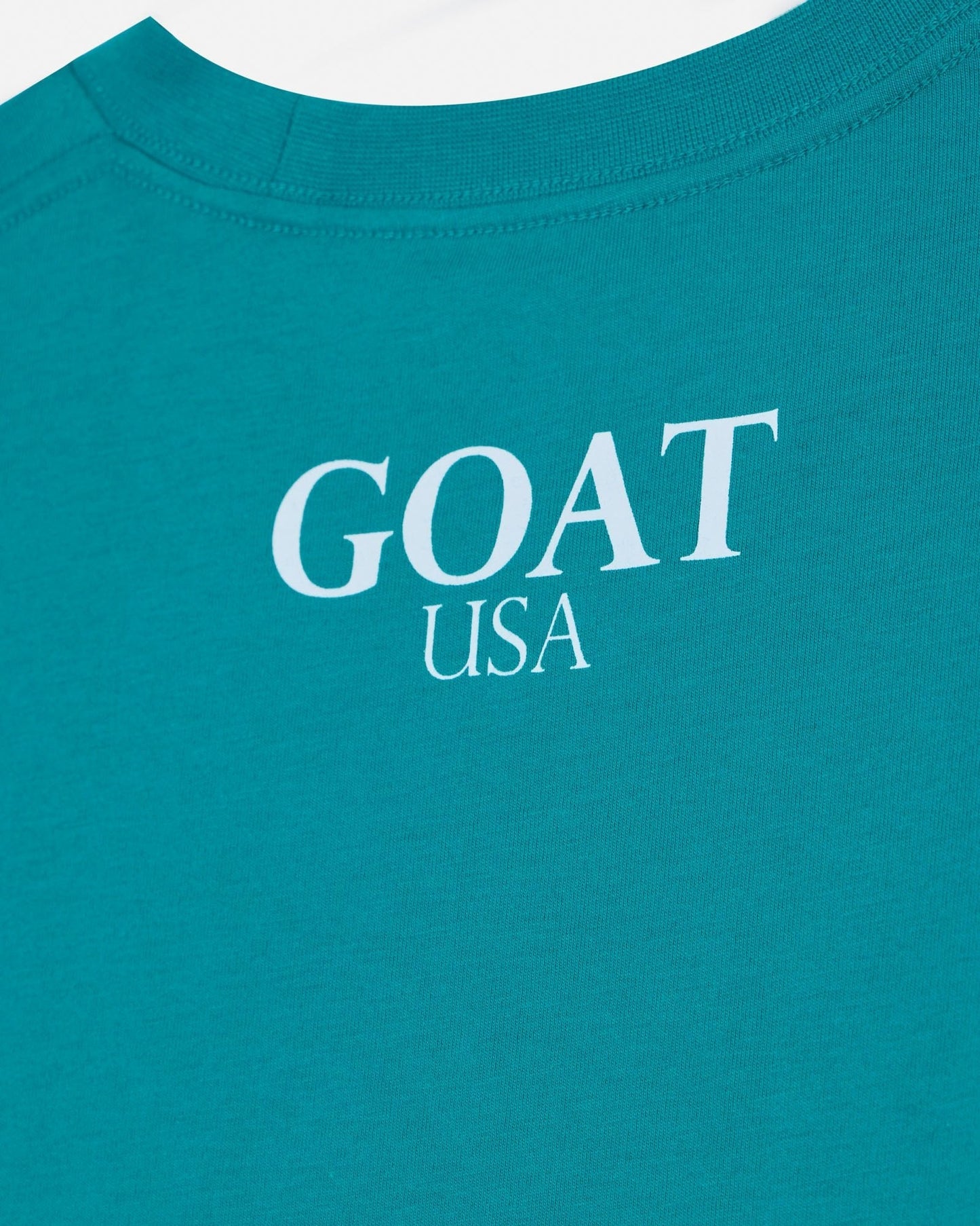 Teal t-shirt with 'GOAT USA' text in white on a white background#color_teal-blue