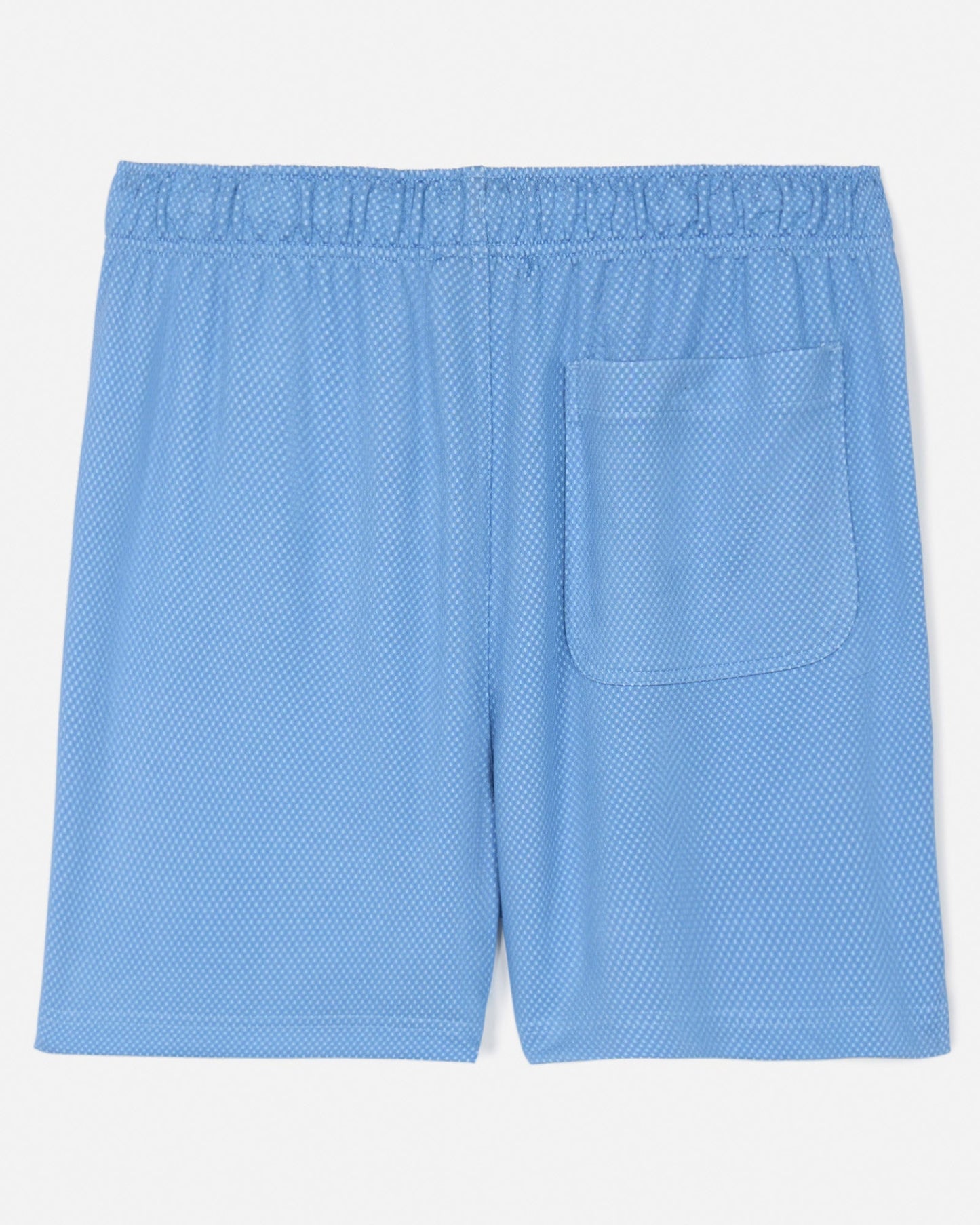Back of carolina blue men's dot mesh shorts#color_carolina-blue