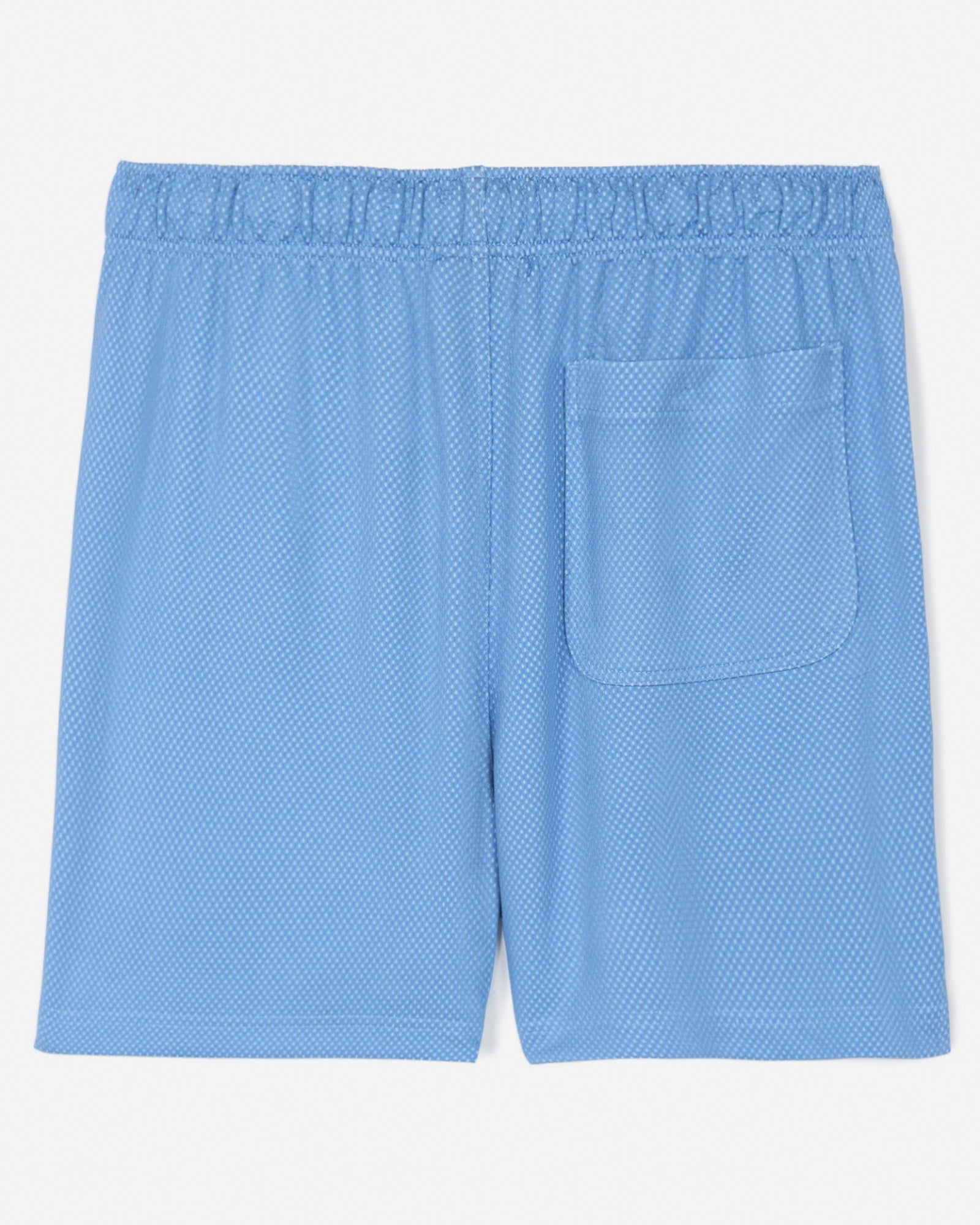 Back of carolina blue men's dot mesh shorts#color_carolina-blue