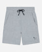 Gray shorts with a small logo on a white background#color_space-dye-gray