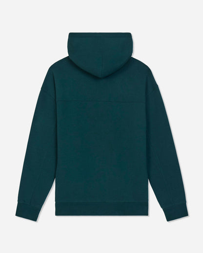 A dark teal green hooded sweatshirt shown from the back, featuring a solid color design, ribbed cuffs, and a ribbed hem, photographed against a light gray background.#color_sage