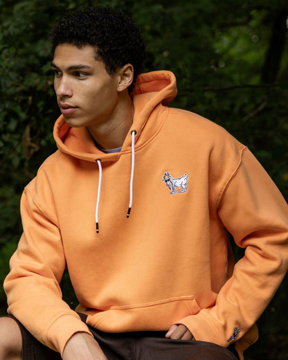 Person wearing an orange hoodie with a small graphic on the chest, sitting outdoors.#color_muskmelon