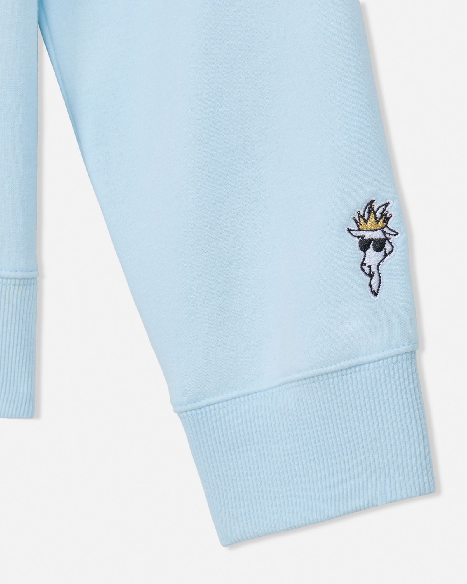 Light blue sweatshirt sleeve with embroidered design on a white background#color_delicate-blue