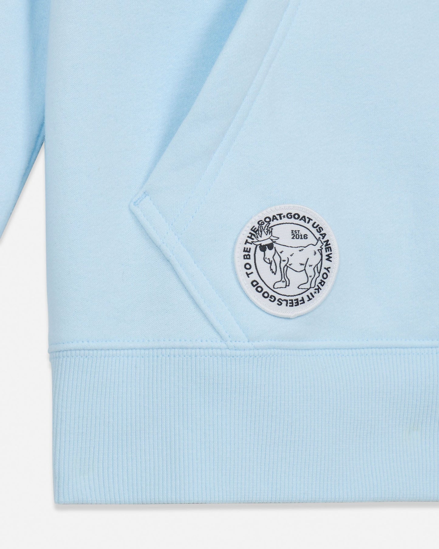 Light blue hoodie with a brand logo on a white background#color_delicate-blue