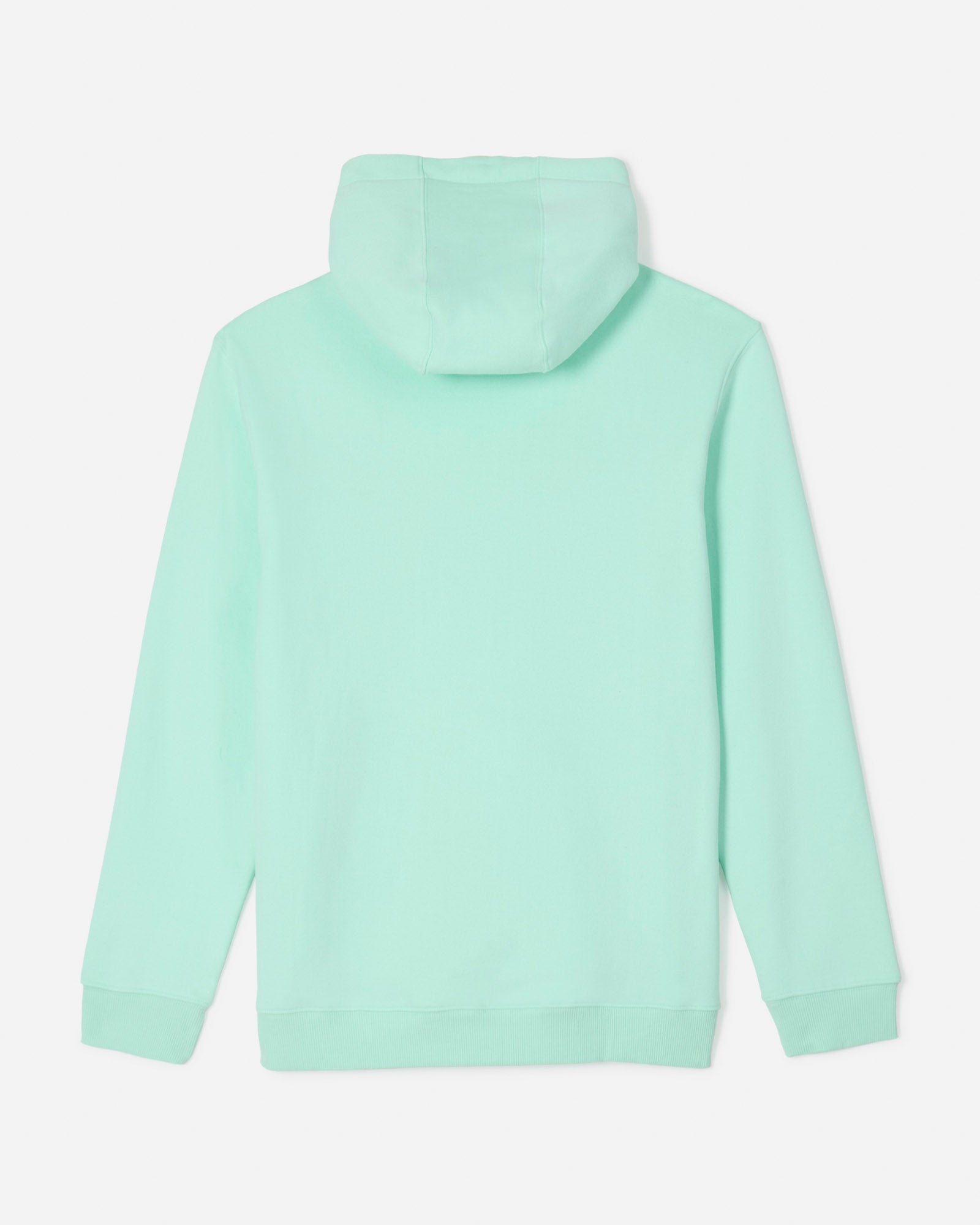 Back of mint WG Hooded Sweatshirt#color_mint