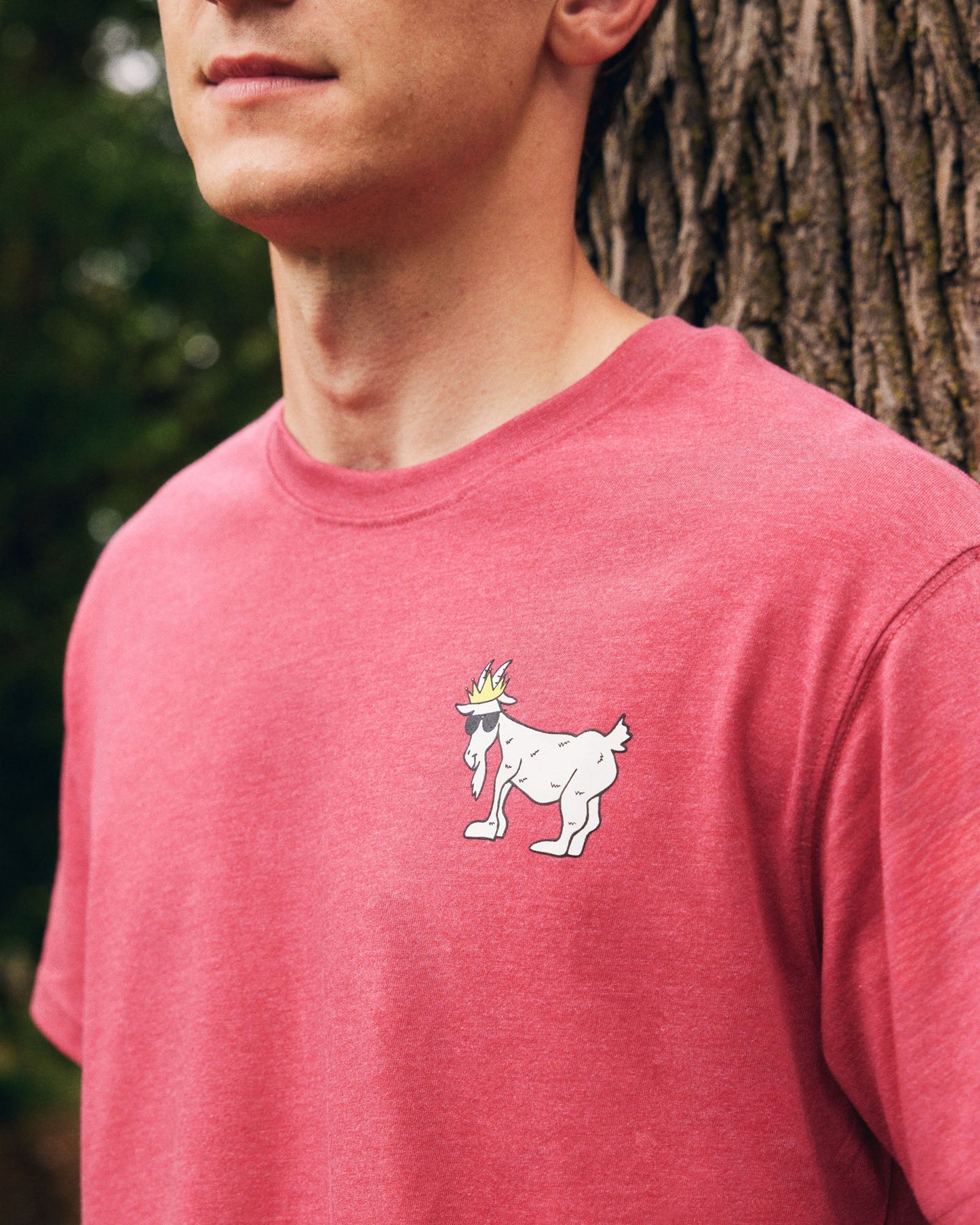Person wearing a red t-shirt with a goat graphic on a blurred natural background#color_cardinal