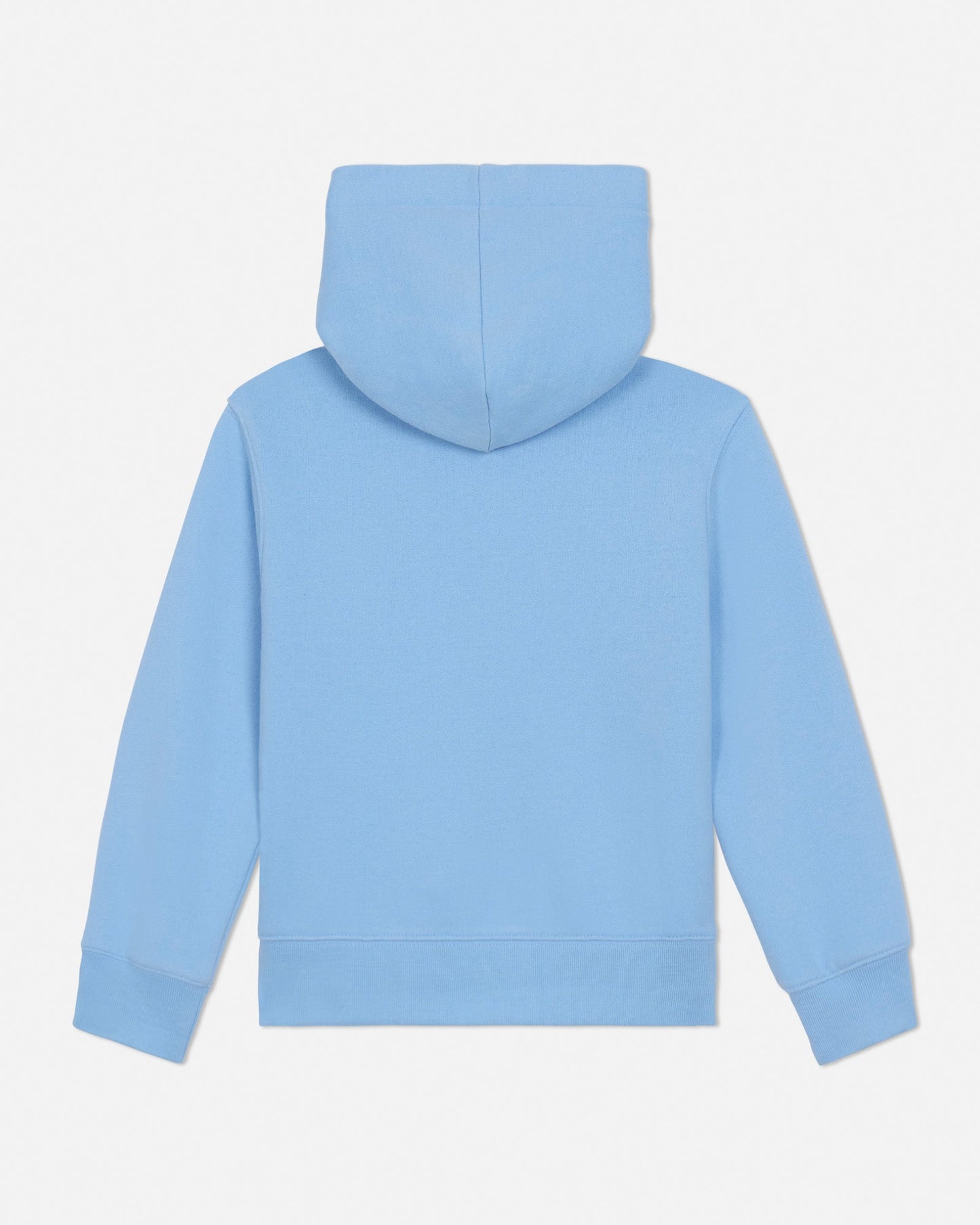 Back of light blue toddler-sized hoodie with a brand logo on a light gray background#color_carolina-blue