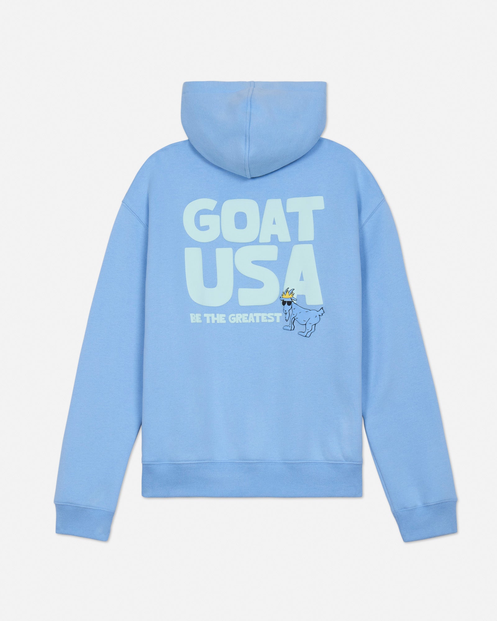 Back of carolina blue oversized hoodie with GOAT USA graphic#color_carolina-blue
